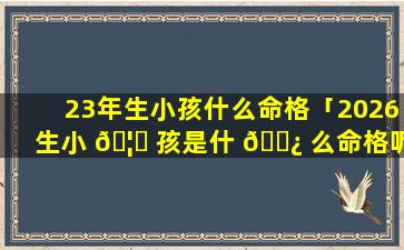 23年生小孩什么命格「2026生小 🦍 孩是什 🌿 么命格呢」